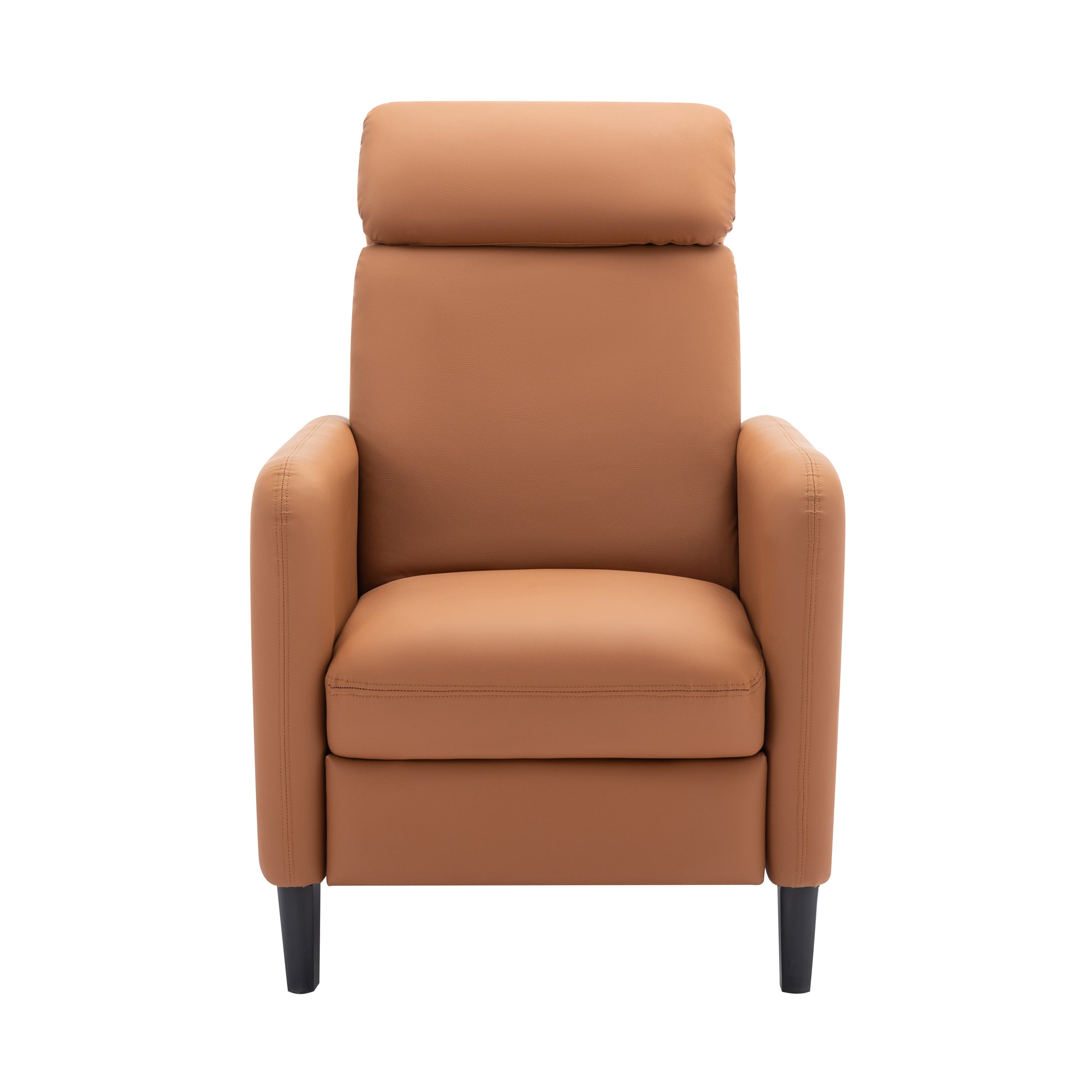 Palto Recliner Chair